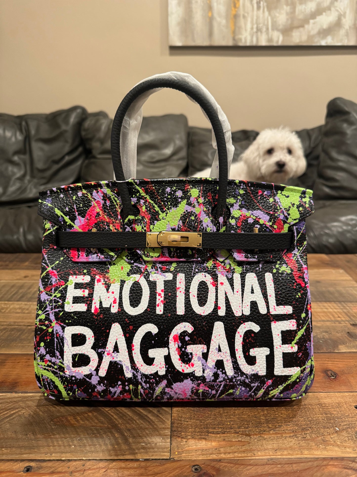 Emotional Baggage Bag