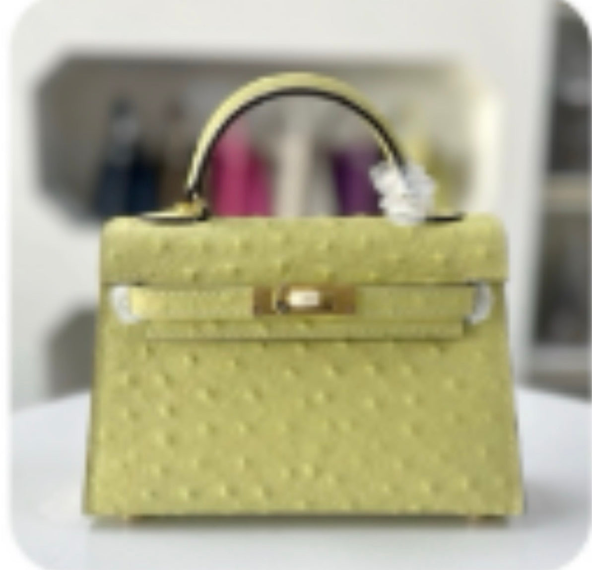 Alligator/ Ostrich effect Leather bag