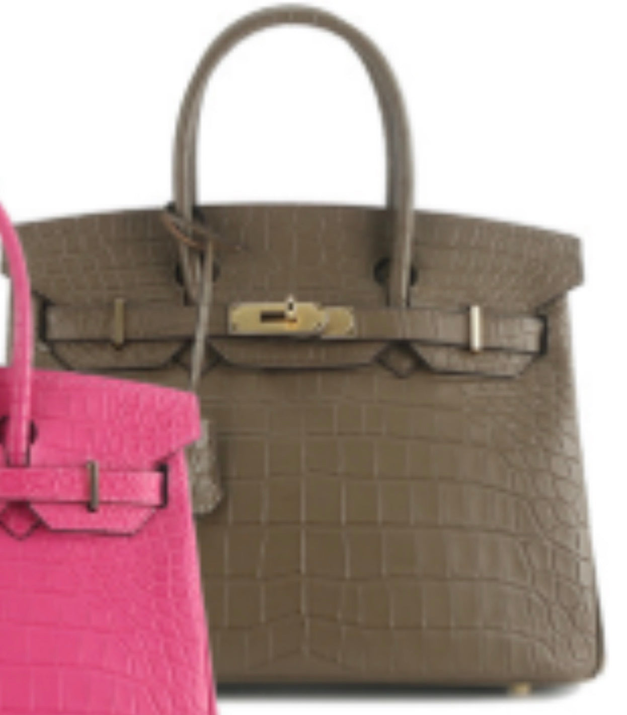 Alligator/ Ostrich effect Leather bag