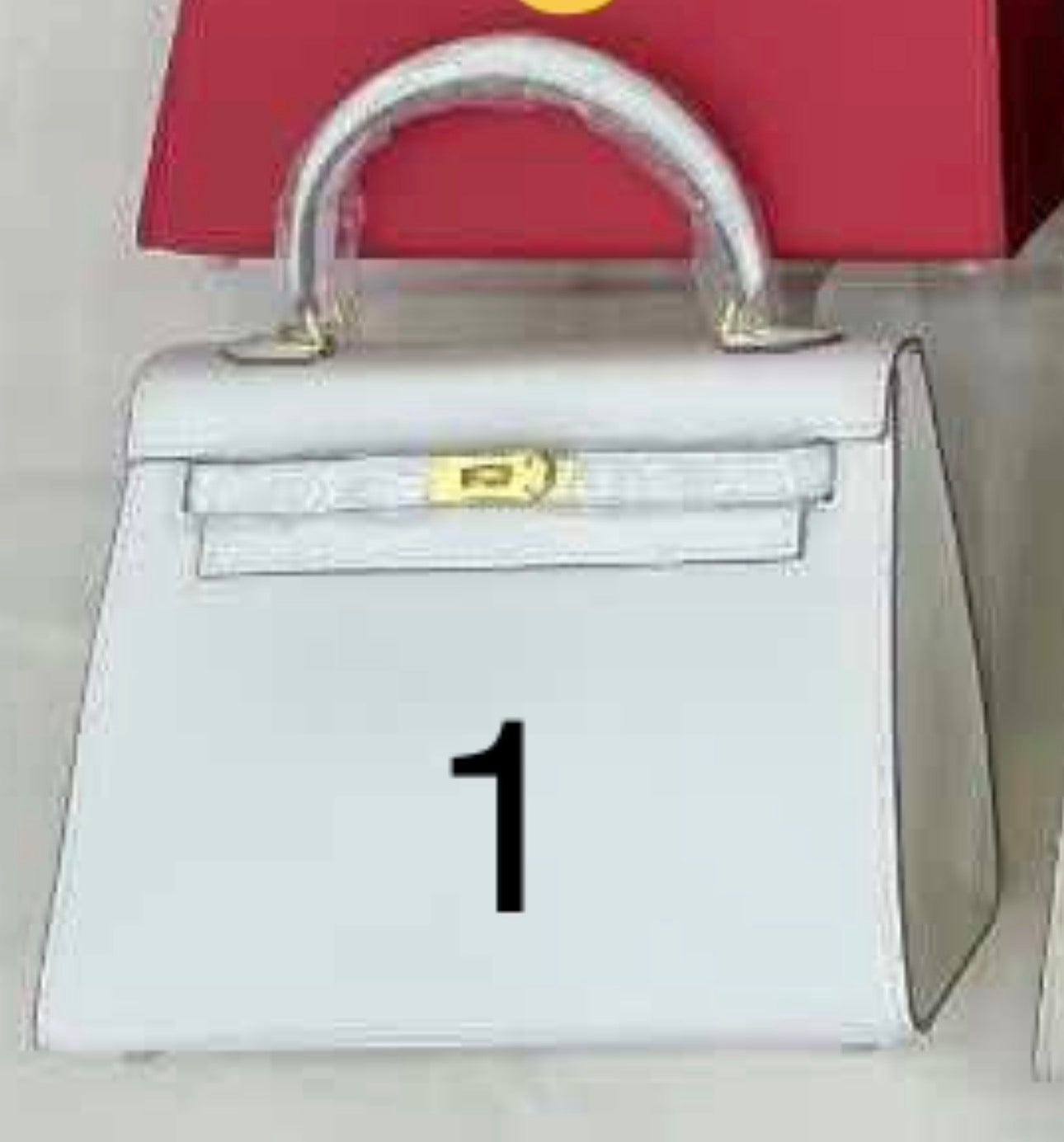 Designer inspired hand painted Bags -Sellier