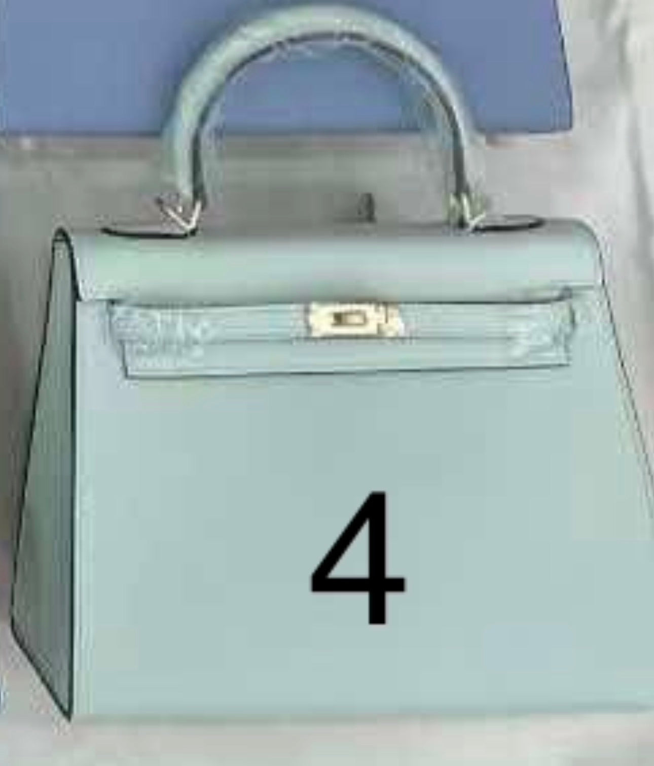 Designer inspired hand painted Bags -Sellier