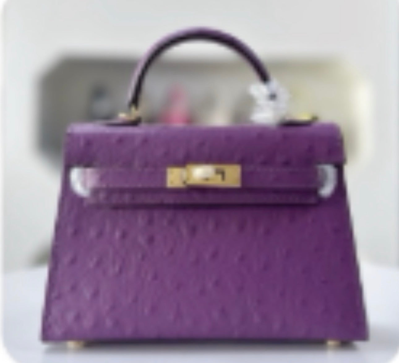 Ostrich effect Leather painted bag