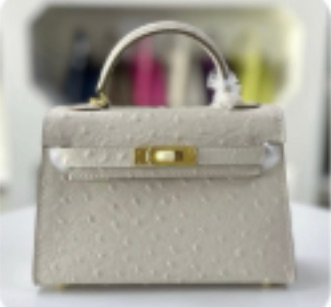 Ostrich effect Leather painted bag