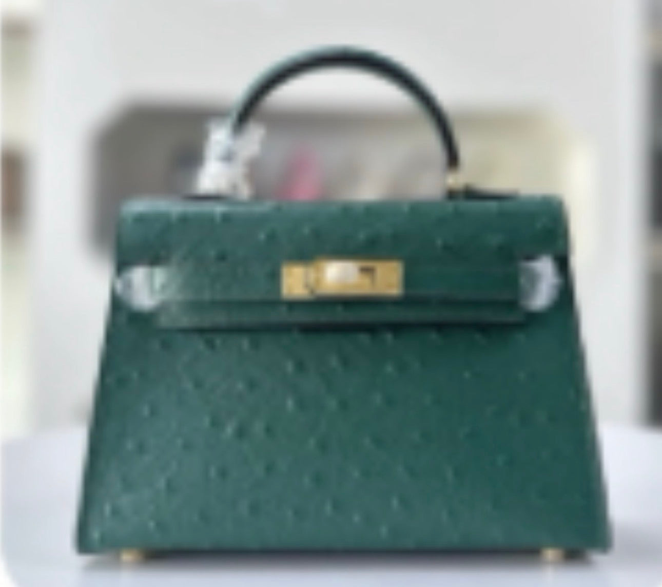 Ostrich effect Leather painted bag