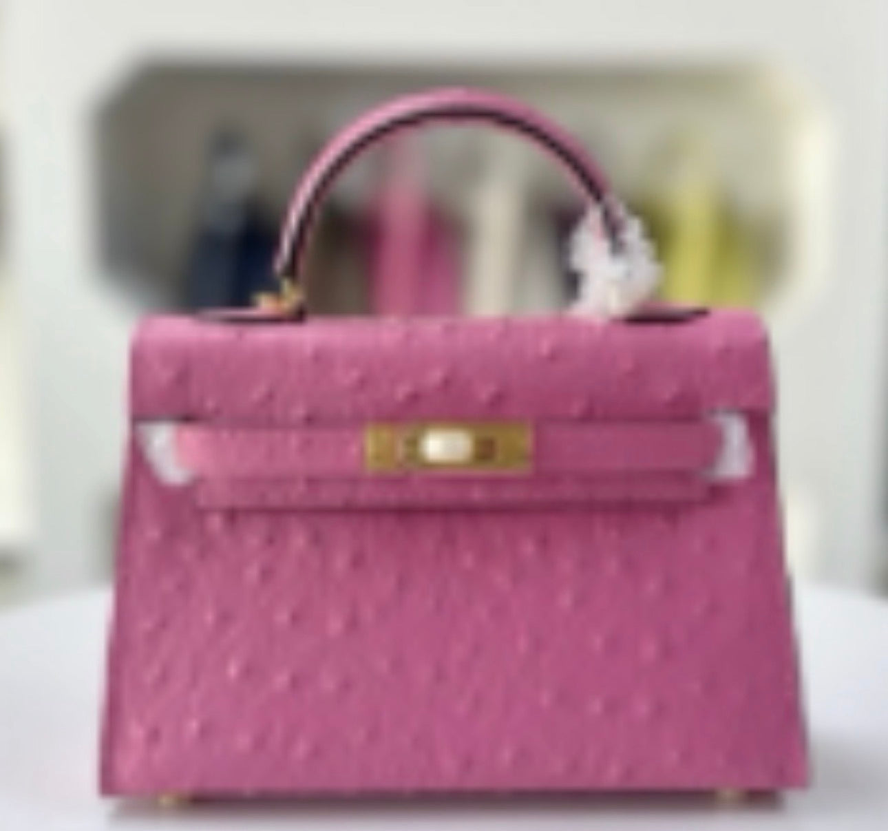 Ostrich effect Leather painted bag