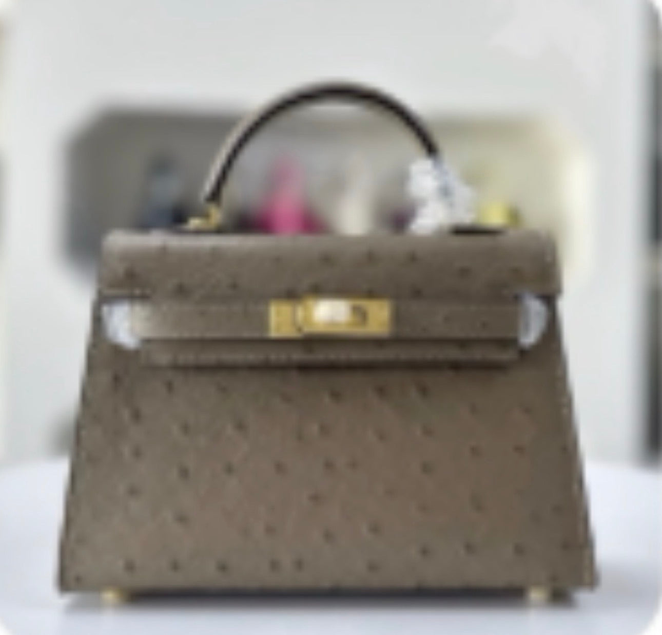 Ostrich effect Leather painted bag