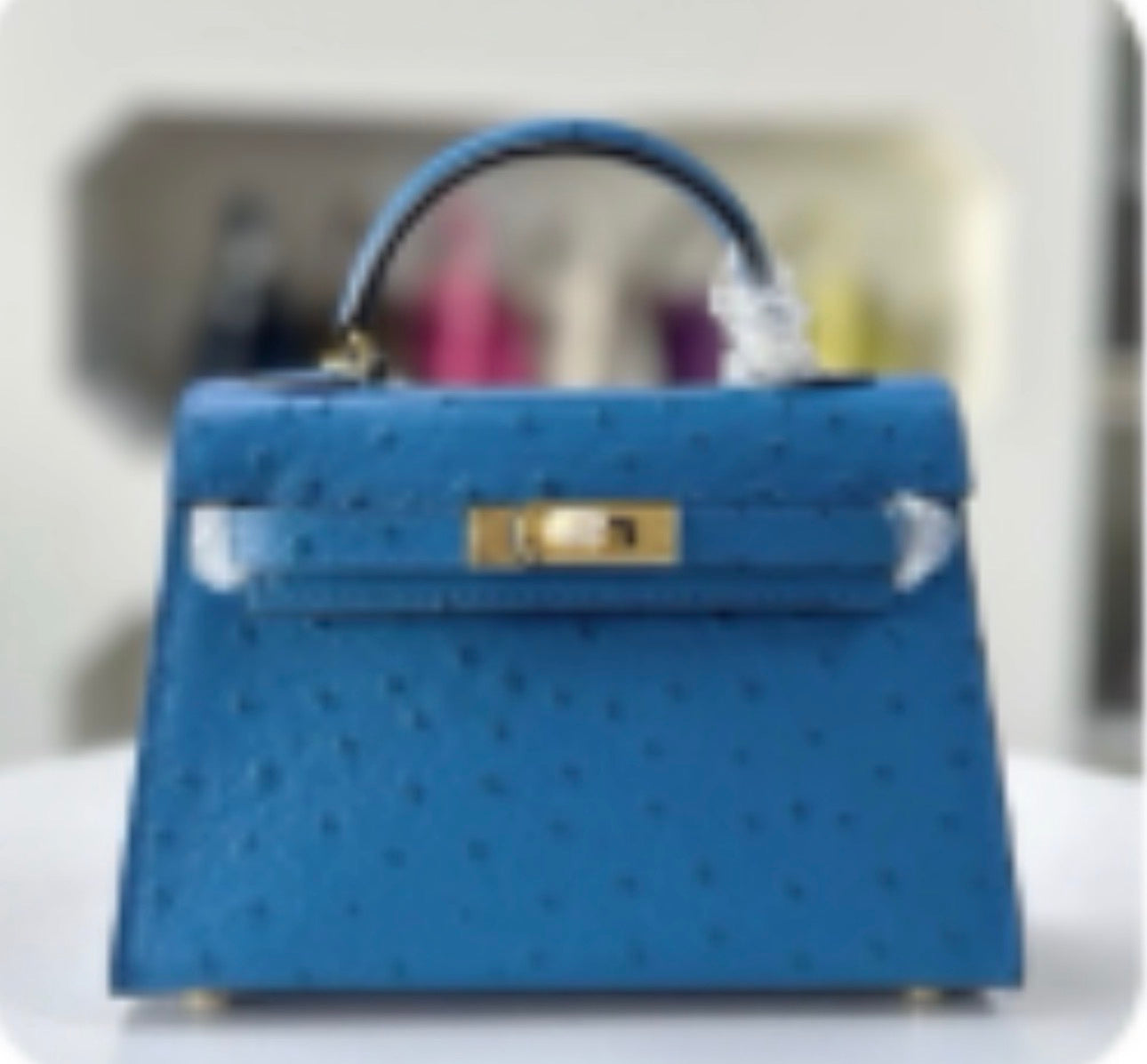 Ostrich effect Leather painted bag