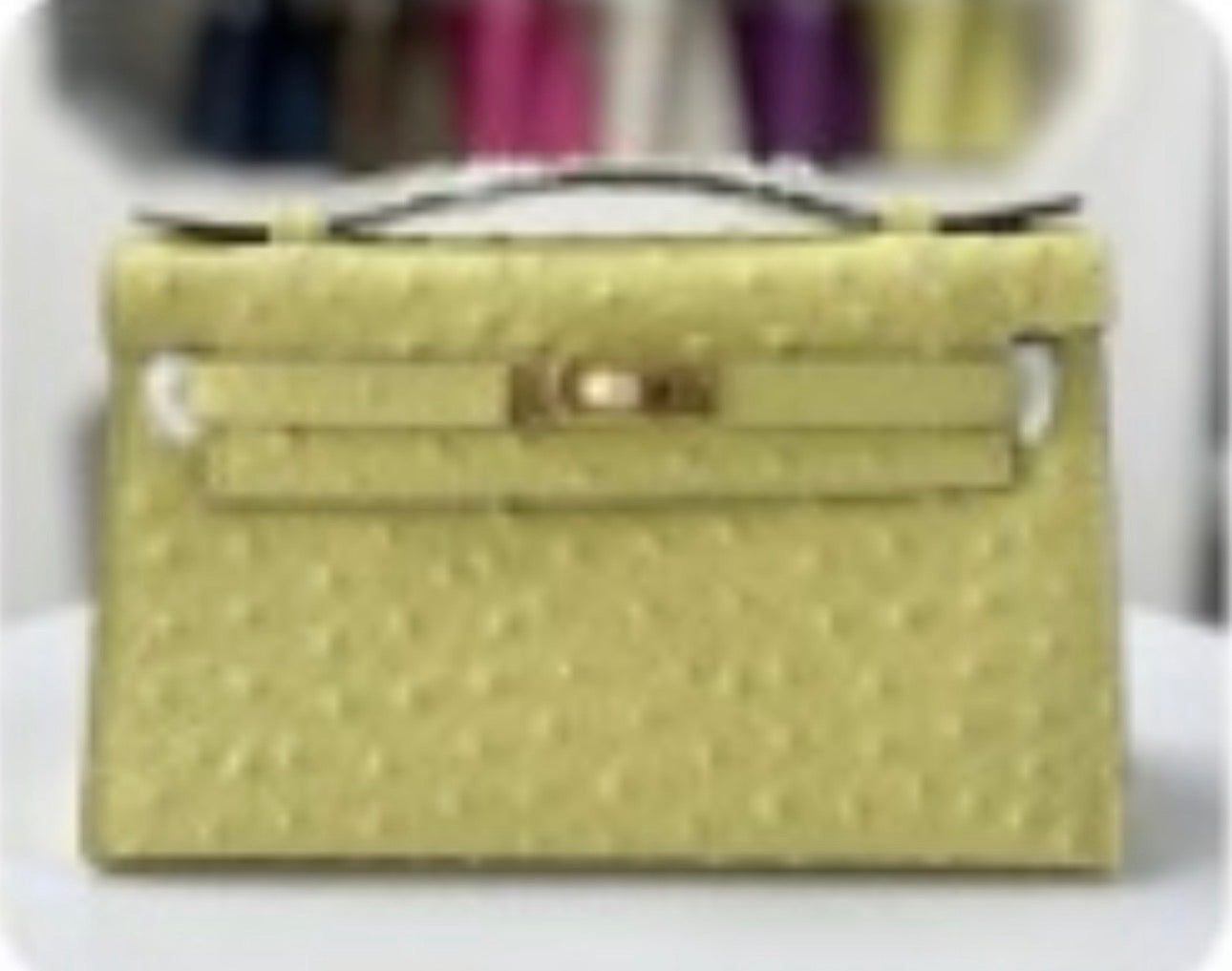 Alligator/ Ostrich effect Leather bag (Pochette)