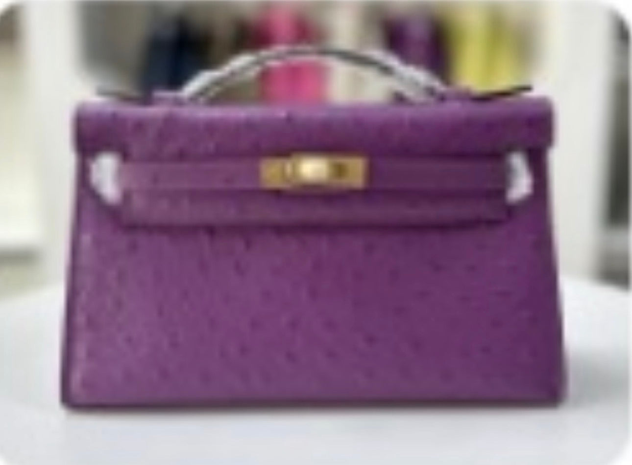 Alligator/ Ostrich effect Leather bag (Pochette)